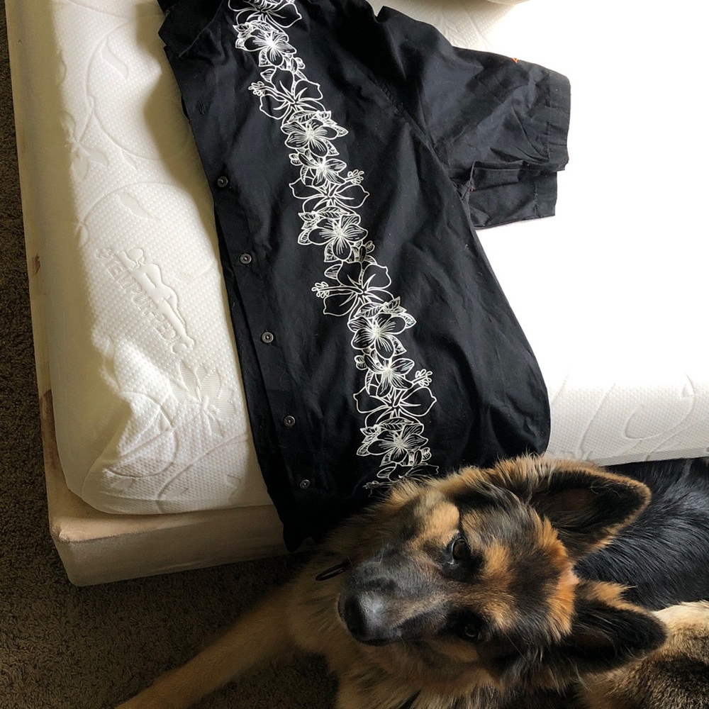 Men's Black Short-Sleeve Button-Down Shirt with White Floral Stripe